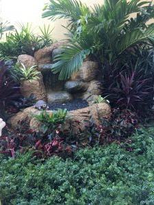 Tropical landscape design in Miami with water feature and palms